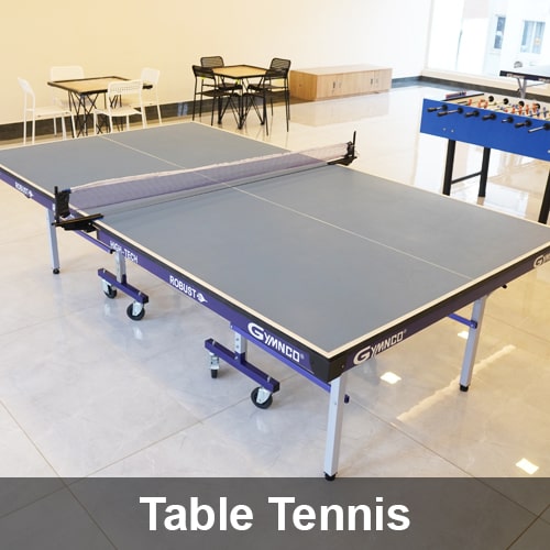 Table Tennis